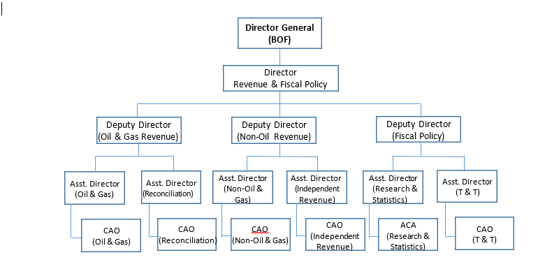 revenue organogram